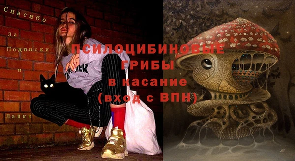 2c-b Алзамай